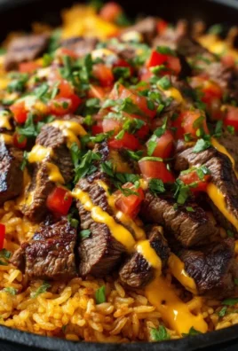 Steak Queso Rice : A Flavorful Recipe